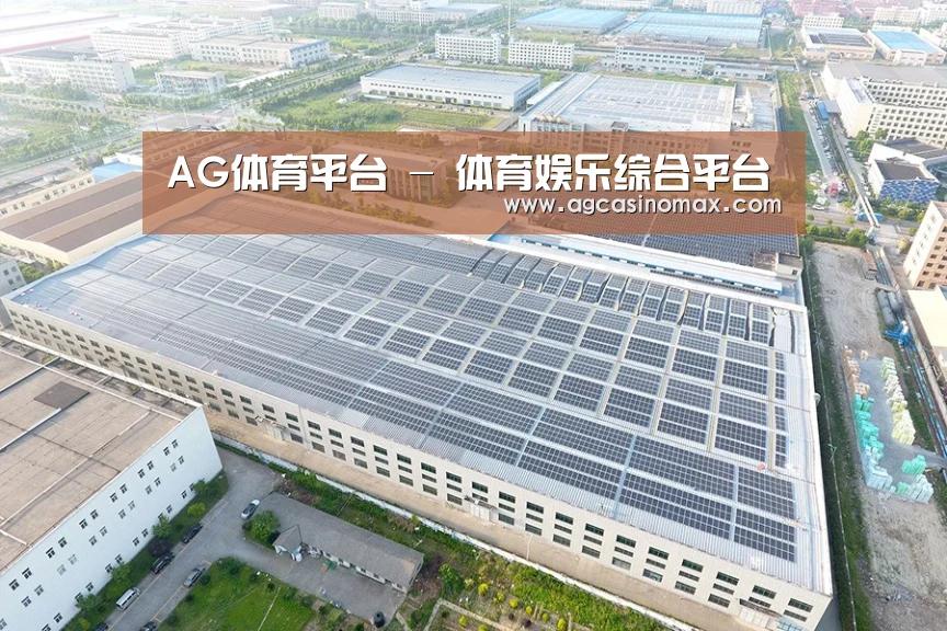 案例展示一