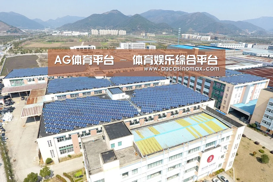 案例展示四