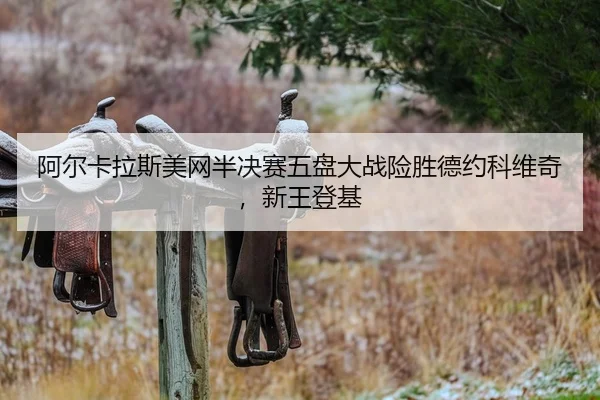 a-er-ka-la-si-mei-wang-ban-jue-sai-wu-pan-da-zhan-xian-sheng-de-yue-ke-wei-qi-xin-wang-deng-ji-2-570.jpg