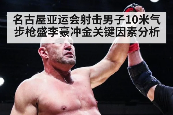 名古屋亚运会射击男子10米气步枪盛李豪冲金关键因素分析